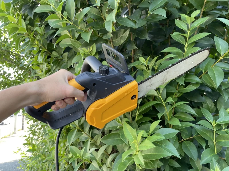 チェンソーで庭木を伐採する様子