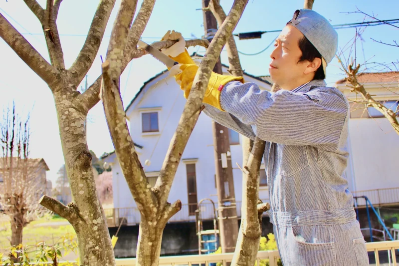 庭木をばっさする男性の様子