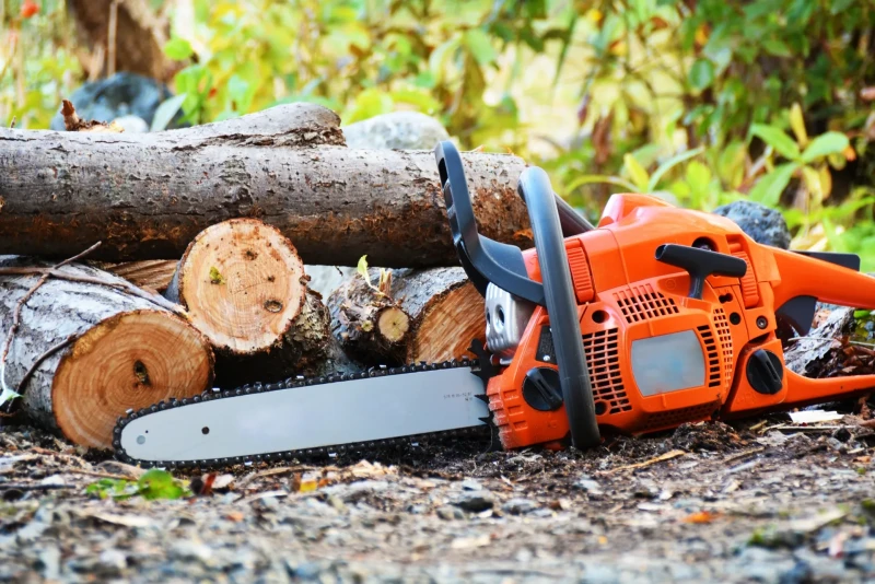 チェンソーと伐採した枝が並べられている画像