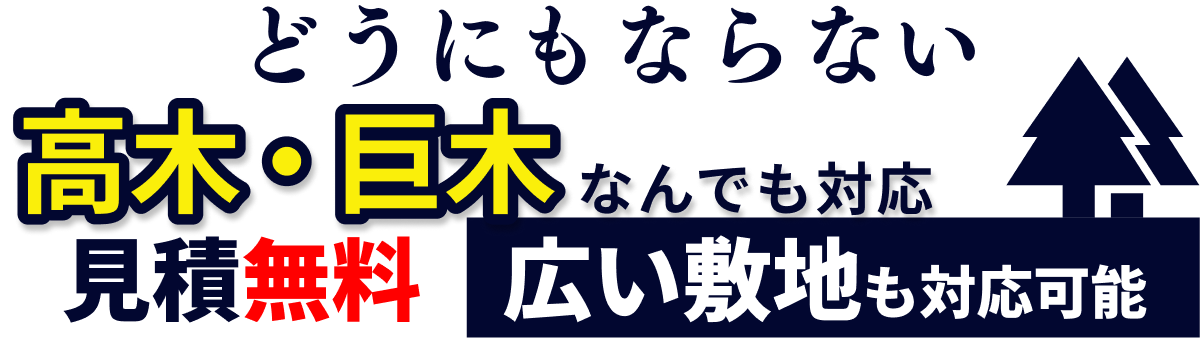 どうにもならない高木・巨木なんでも対応 見積無料 広い敷地も対応可能
