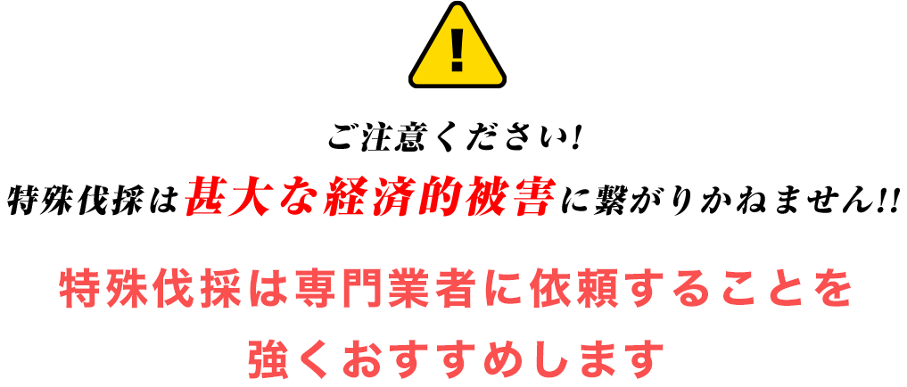 ご注意ください!特殊伐採は甚大な経済的被害に繋がりかねません!!特殊伐採は専門業者に依頼することを強くおすすめします